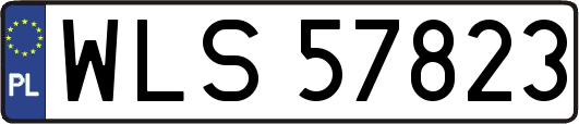 WLS57823