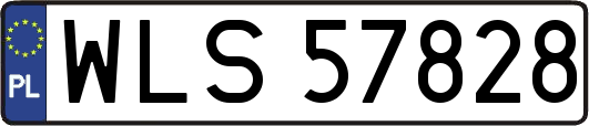 WLS57828
