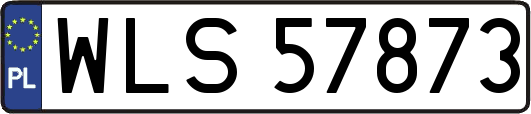 WLS57873