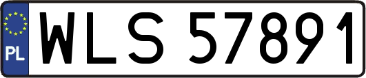 WLS57891