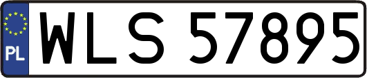 WLS57895