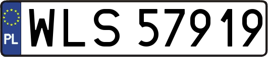 WLS57919