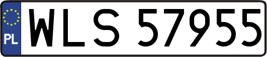 WLS57955