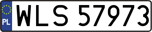 WLS57973