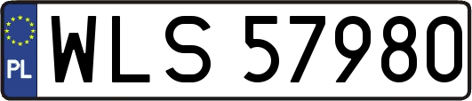 WLS57980