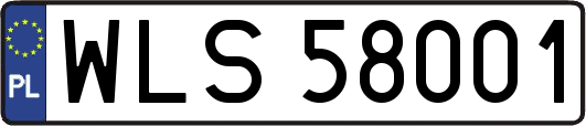 WLS58001