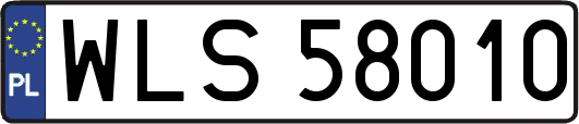 WLS58010