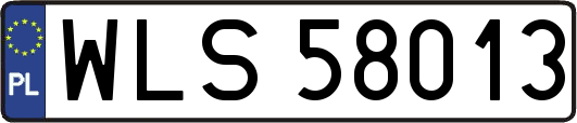 WLS58013