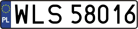 WLS58016