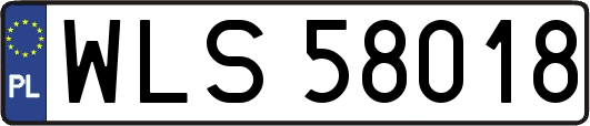 WLS58018
