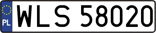 WLS58020