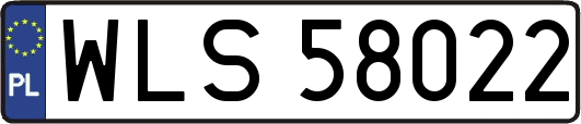 WLS58022