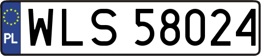 WLS58024