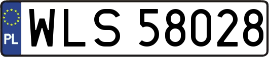 WLS58028