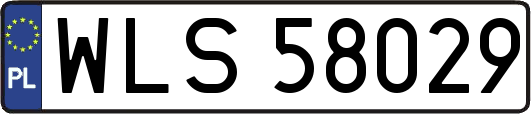 WLS58029