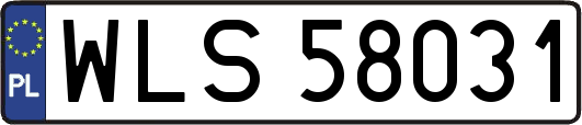 WLS58031