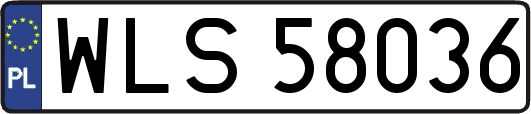 WLS58036