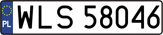 WLS58046