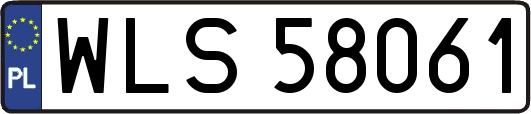 WLS58061