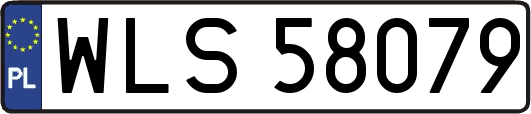 WLS58079