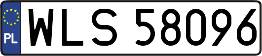 WLS58096