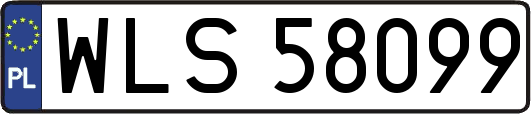 WLS58099