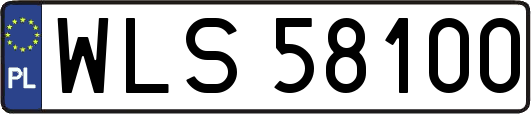WLS58100