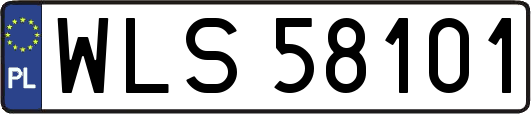 WLS58101