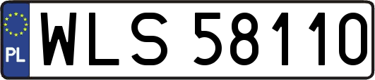 WLS58110
