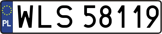 WLS58119