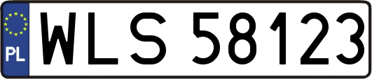 WLS58123