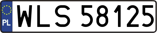WLS58125