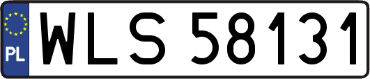WLS58131