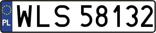 WLS58132