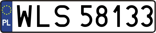 WLS58133