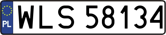 WLS58134