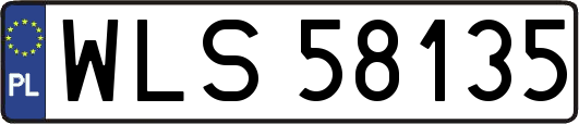 WLS58135