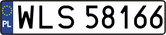 WLS58166