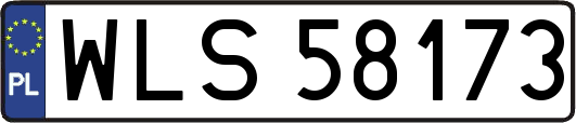 WLS58173