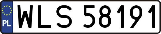 WLS58191