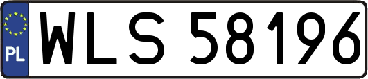 WLS58196