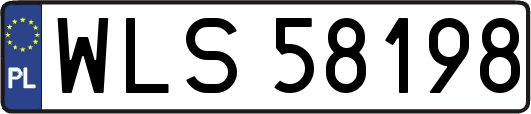 WLS58198