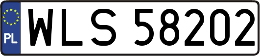 WLS58202
