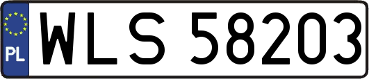 WLS58203