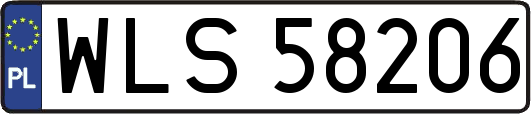 WLS58206