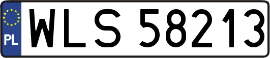WLS58213