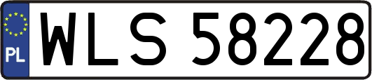 WLS58228