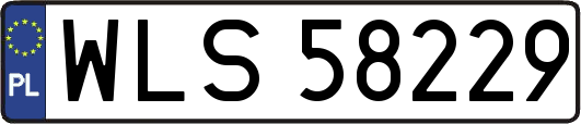 WLS58229