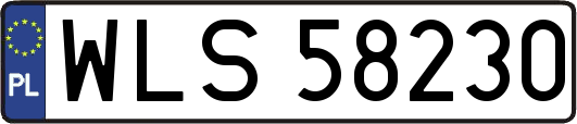 WLS58230