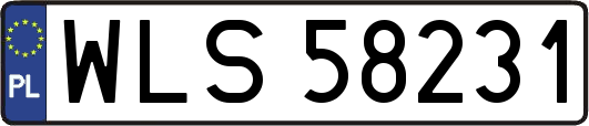 WLS58231